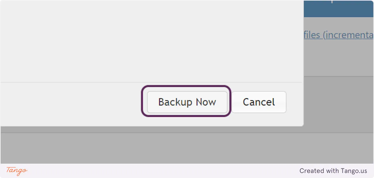 Close-up of a computer interface with options to "Backup Now" and "Cancel," perfect for those looking to take a WordPress backup.