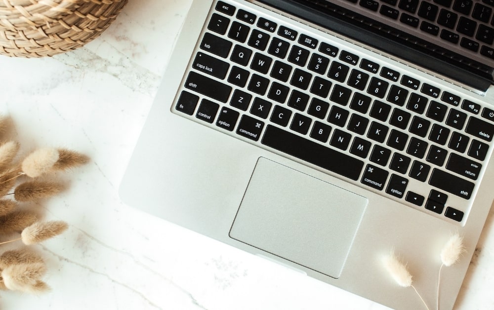 Read more about the article Dofollow and nofollow links: which to use and when