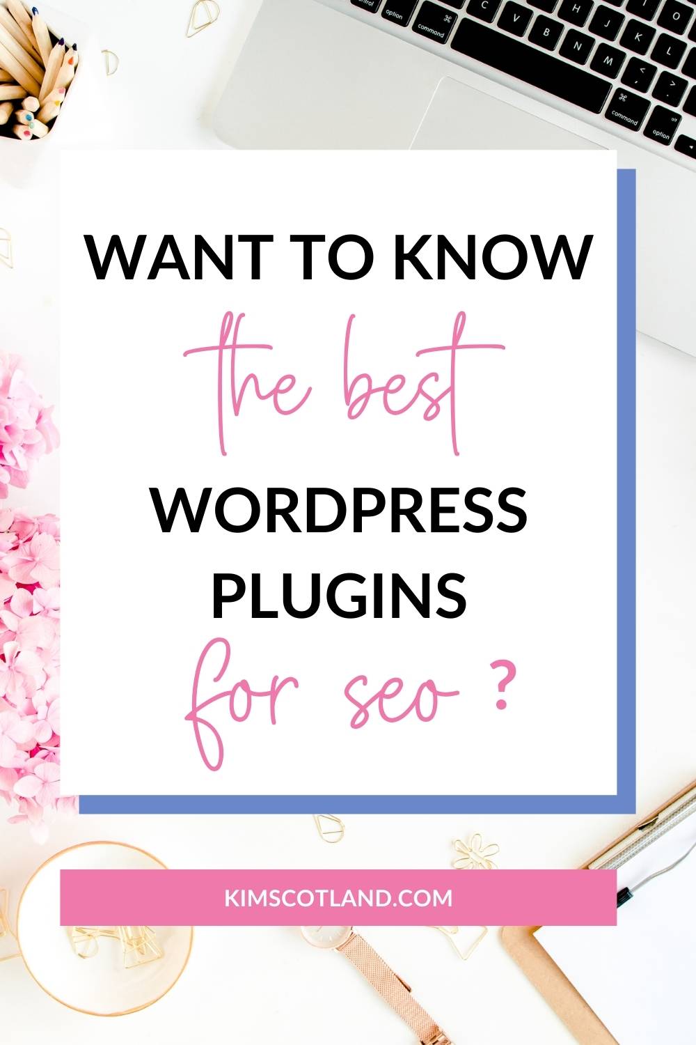 Pinterest optimised image with the text "Want to know the best WordPress plugins for SEO?"