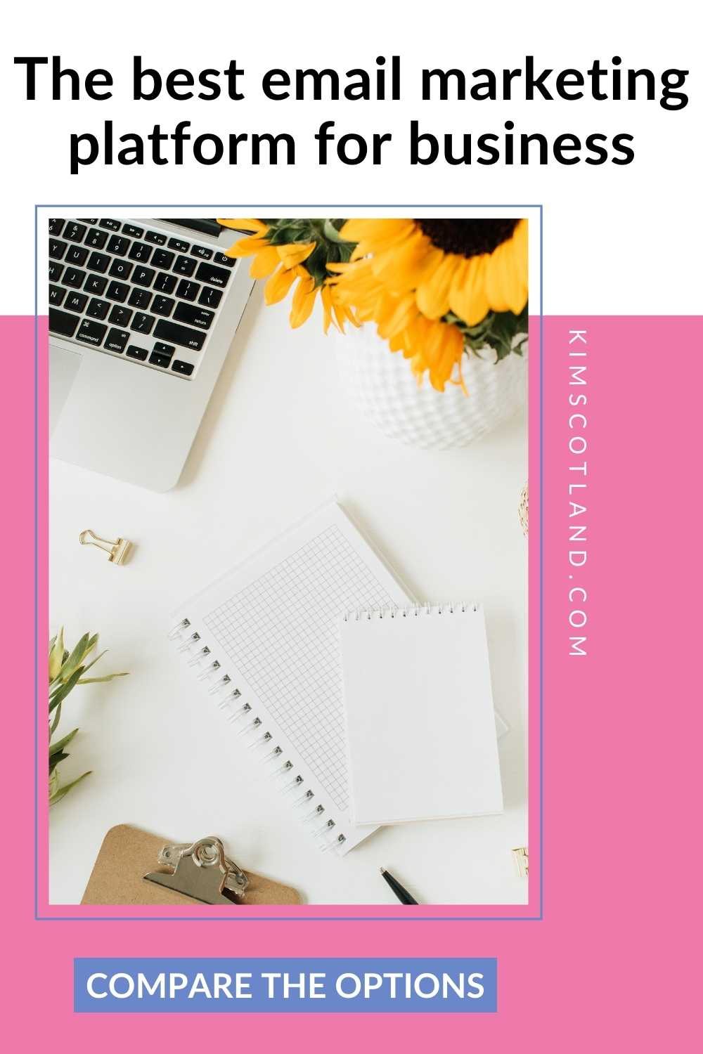 A laptop, sunflowers, and blank notepads on a desk with the text "The best email marketing software for business" and "Compare the options.