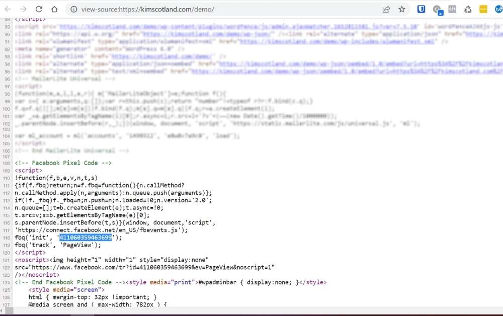 Screenshot of page source code with Pixel Id highlighted.