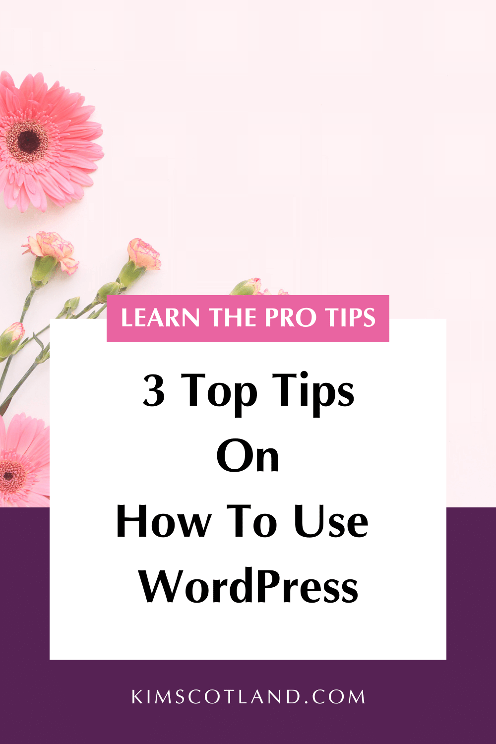 Pinterest optimised image with text reading Learn the Pro Tips. 3 top tips on how to use WordPress