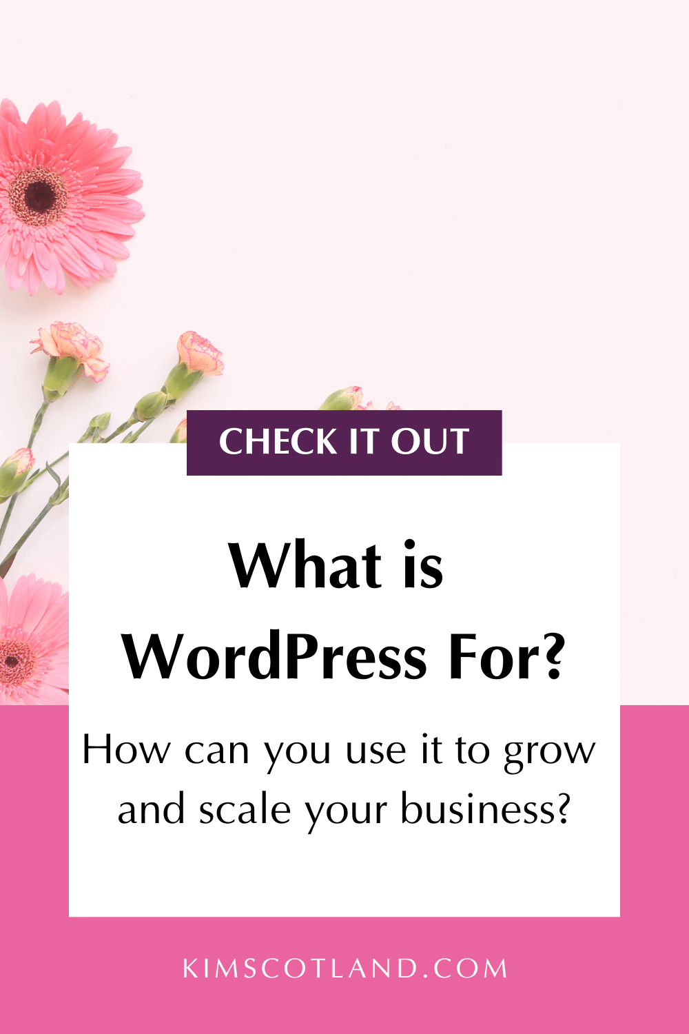 Pinterest optimised image with text reading check it out. What is WordPress for? How can you use it to grow and scale your business?