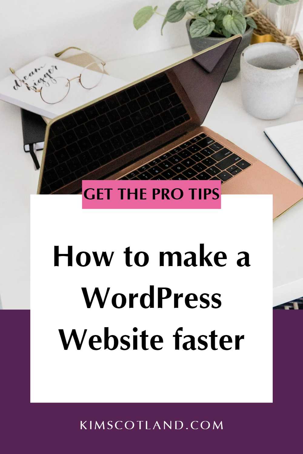 Pinterest optimised image with text reading: Get the pro tips. How to make a WordPress website faster