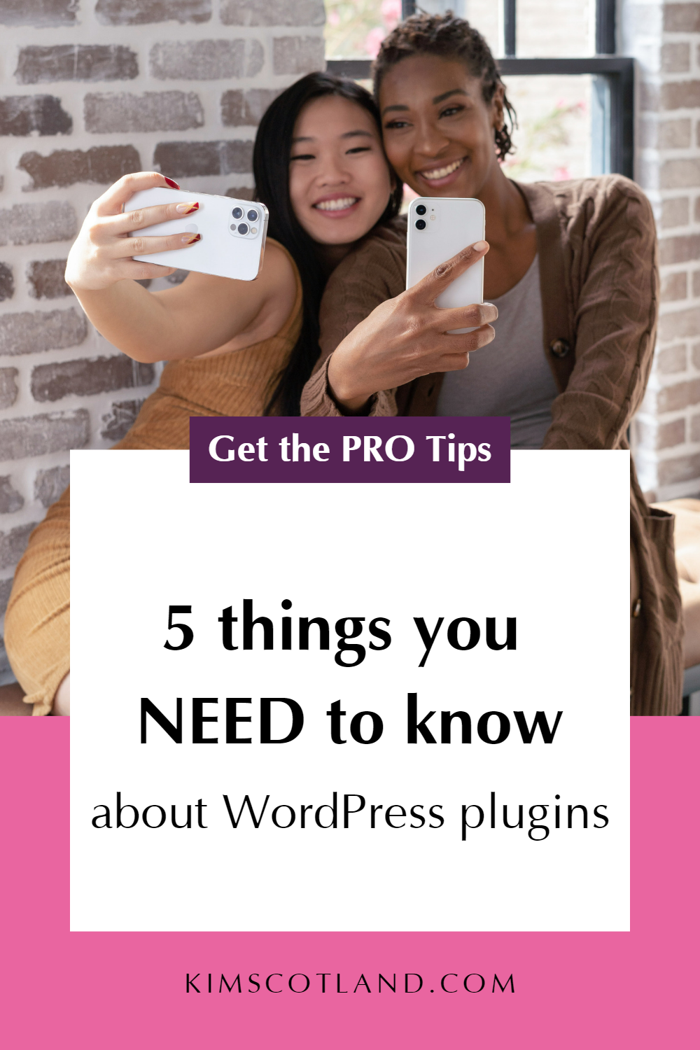 Pinterest optimised image with text reading: 5 things you need to know about WordPress plugins