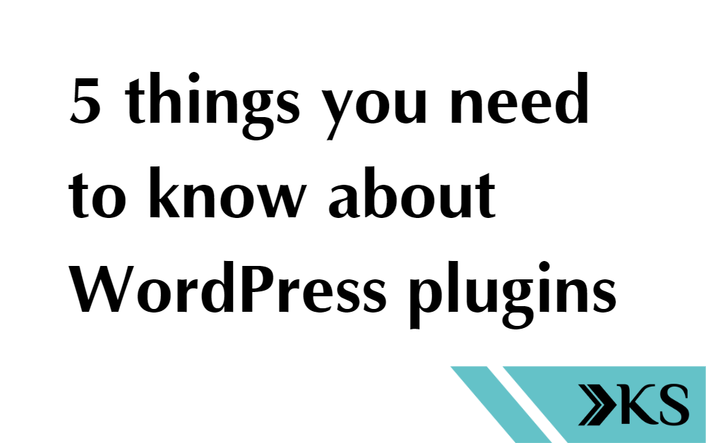 Read more about the article What is a plugin in WordPress? 5 things you need to know